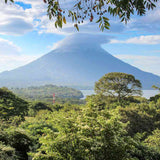 Nicaragua Single-Origin Premium Coffee